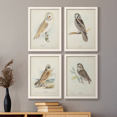" Barn Owl " 4 - Pieces
