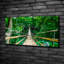 The Bridge Of The Rain Forest - Wrapped Canvas Print