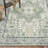 Roehit Oriental Performance Machine Washable Area Rug-965296199-949130764