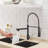 Fapully Pull Down Kitchen Faucet-61611594