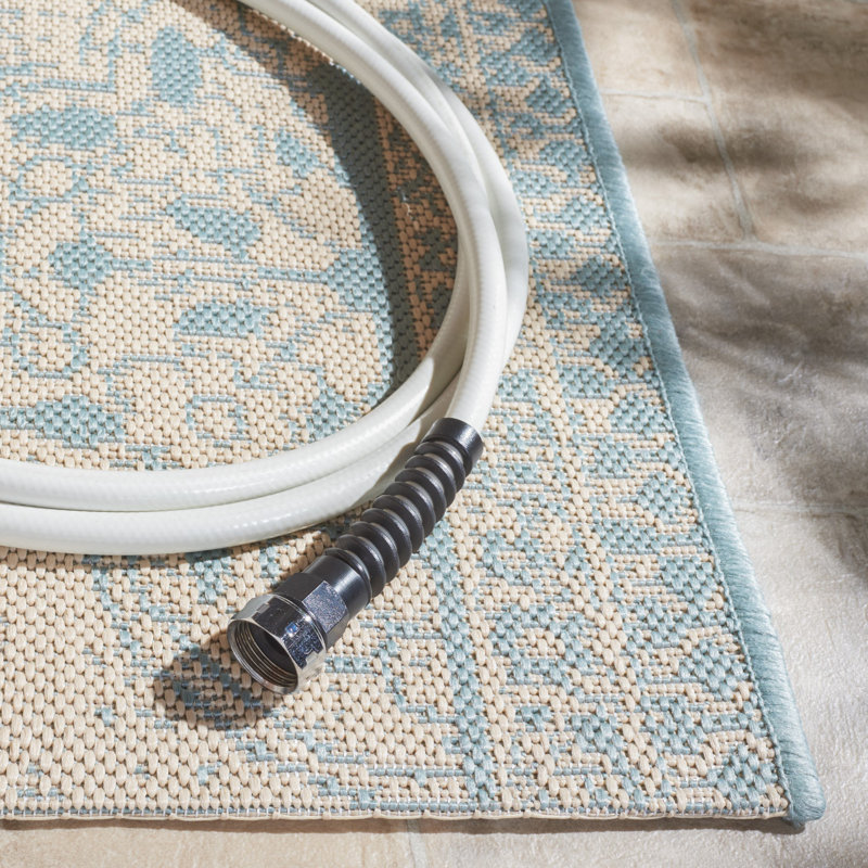Danya Aqua/Cream Indoor/Outdoor Area Rug, Runner 2'2" x 12'