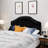 Contemporary Queen Sized Headboard In Black Velvet Finish With Button Tufting Style Elegant-1933099998