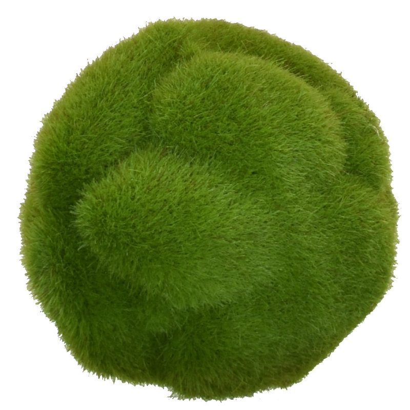 Fausse mousse Mood Ball