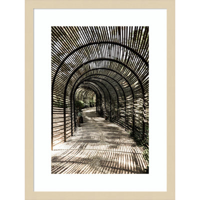 Shadow Garden by Shot by Clint Wood Framed Wall Art Print