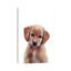 Chiot Golden Retriever par Watercolor Luv - reproduction d'art-52940421-52940415-52940414
