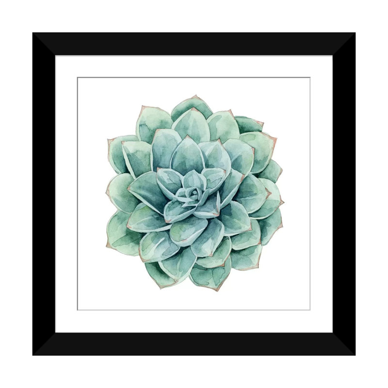 « succulent nuanciers i », impression sur toile, Papier d'art encadré noir, Blanc, H 16 po x l 16 po x P 1 po