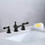 Widespread 2-handle Bathroom Faucet with Drain Assembly
