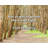 Artsy Quote "You’ve got to go out there and fight." By Clint Dempsey Gallery Wrapped Canvas