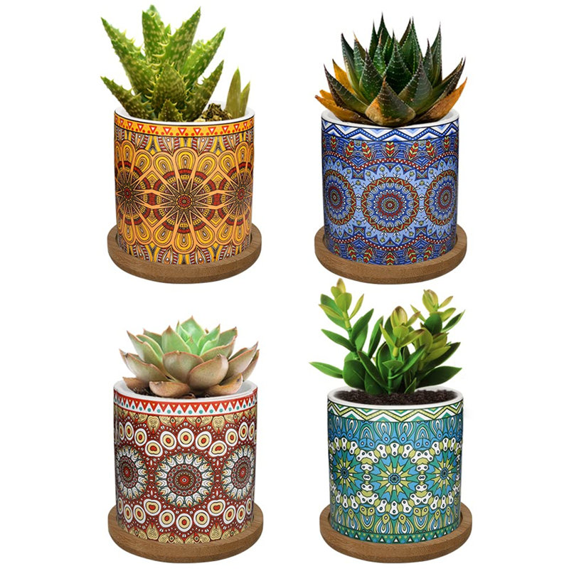 Caludia Ceramic Pot Planter
