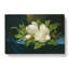 Giant Magnolias On Blue Velvet by Martin Johnson Heade - Wrapped Canvas Painting-61855250