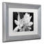  Art mural encadré - Décoration murale Kurt Shaffer «Rose en noir et blanc» avec cadre mat - Art du salon, de la cuisine et de la salle de bain - 11 x 14-18234874-40144415
