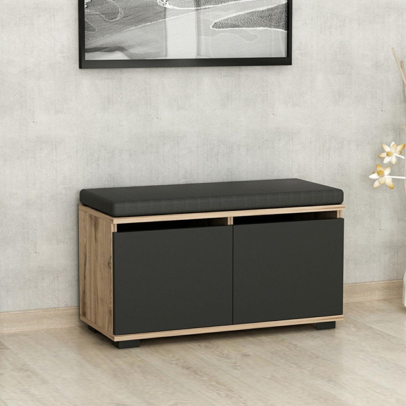 Modern Shoe Cabinet, Walnut & Black, 31.5 x 16.5 x 13.8 inches | 100% Melamine Coated Particle Board, Thickness: 0.7 inches | Stylish & Functional Storage Solution for Entryway, Living Room, or Bedroom