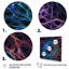 Impression sur toile Infinity Net Space Matrix I - Fractals-205425548-205425549