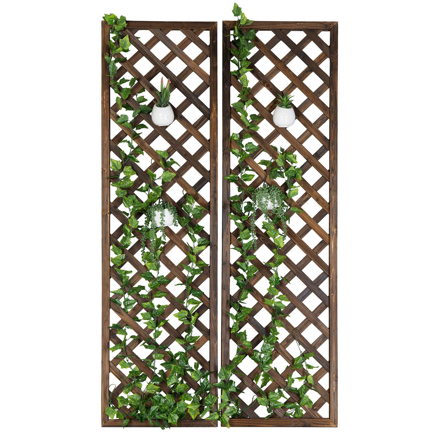 Kalvo 70.86'' H x 1.18'' W Wood Lattice Panel Trellis