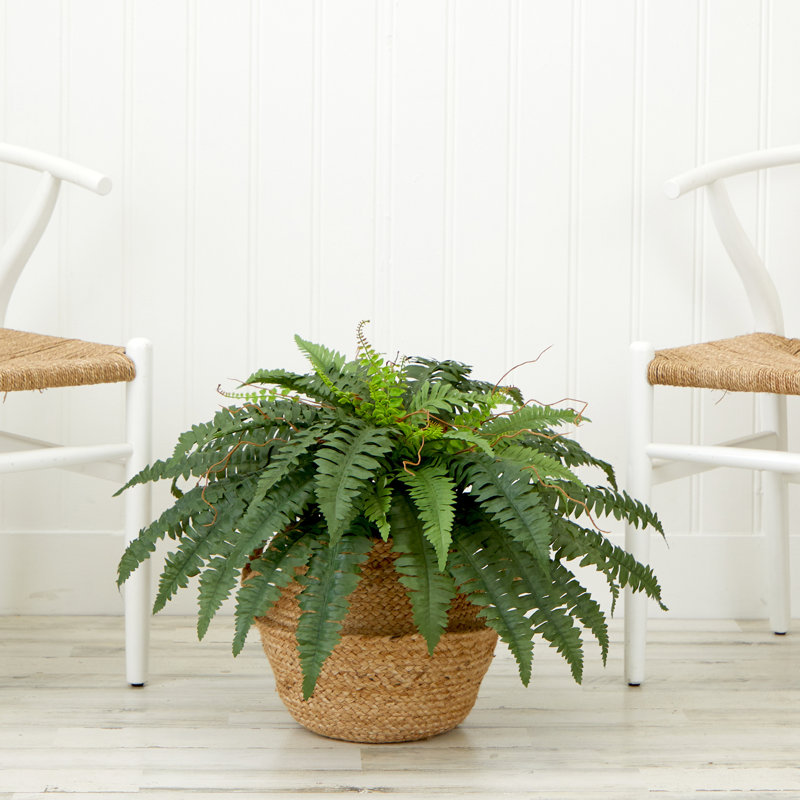 Plante artificielle dans un panier en coton 20 po Arago, Naturel