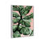 « rosé tons leaves » par oliver gal, impression-66978470-66978471