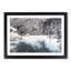 White-Breasted Crows Vol.3 by Zha Shibiao - Picture Frame Painting Print-55611977-55611976