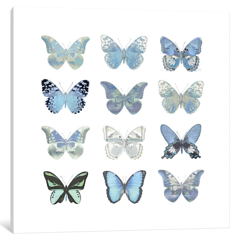 «Butterfly Study in Blue I», reproduction d'art sur toile, H 12 po x l 12 po x P 1,5 po