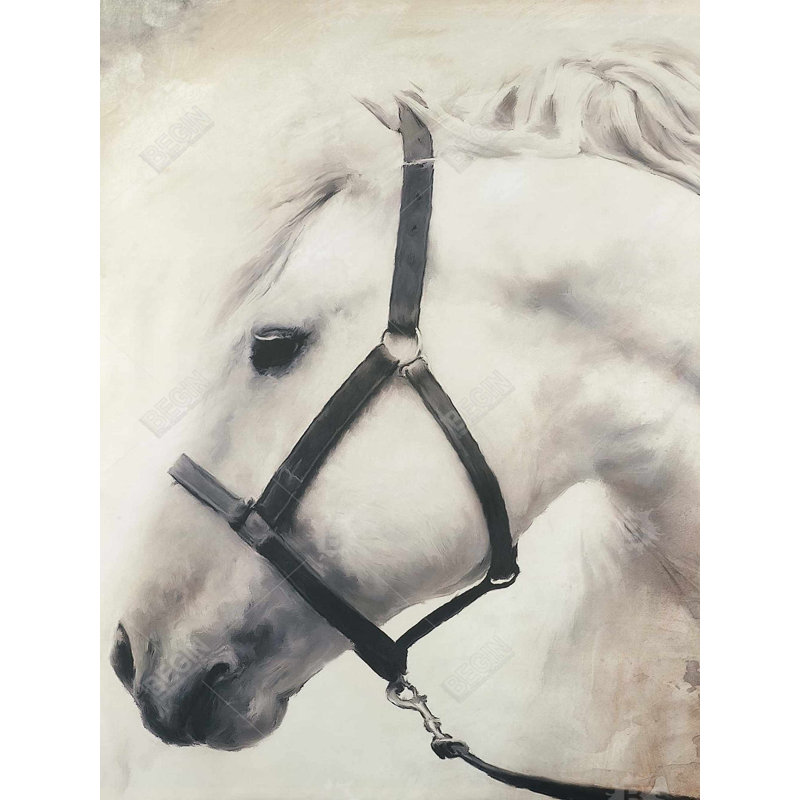 Darius le cheval - animaux occidentaux, art mural sur toile, H 49,25 po x l 37,25 po, Blanc / noir / beige