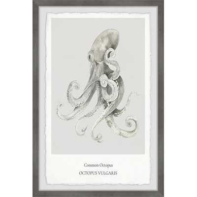 Gurdon Aetobatus Narinari A by Marmont Hill - Single Picture Frame Painting