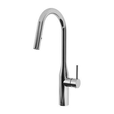 Kalia Kaviar Pull Down Kitchen Faucet