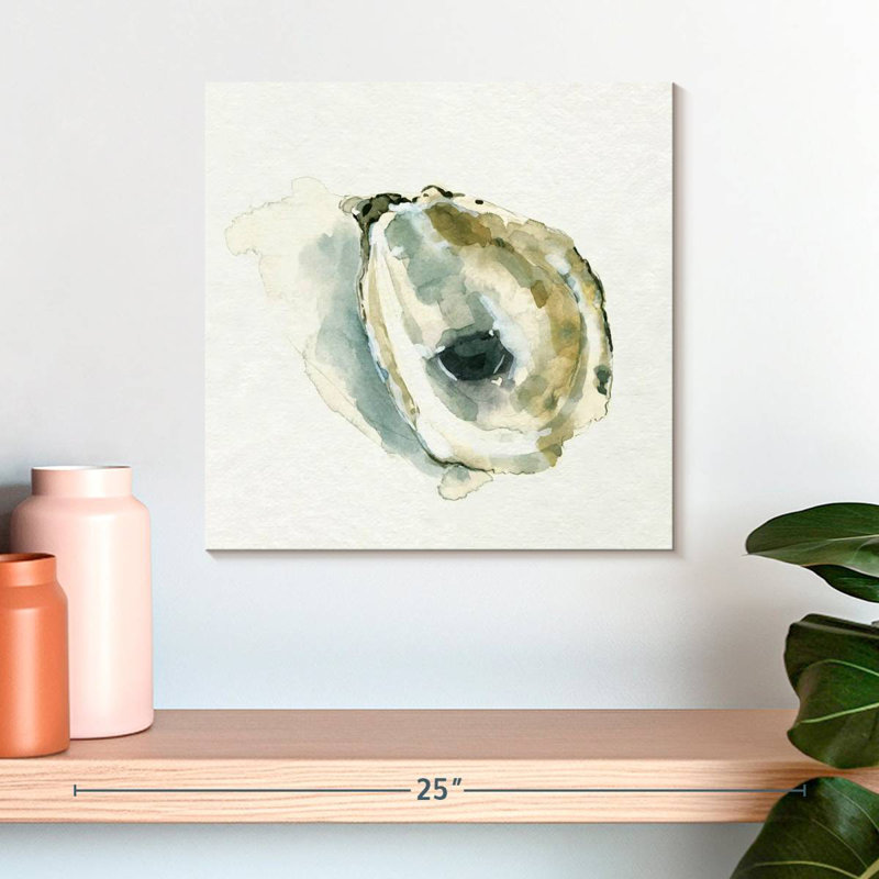 Brampt Old Salt Shell I