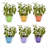 AKLOV Color Bucket-101179158