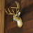 Rustic brown 8-point buck faux taxidermy deer head wall sculpture with antlers, cast resin — 13" H x 11" W x 9.25" D