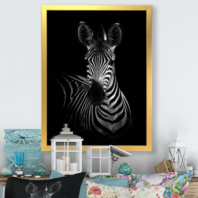 Zebra In Black And White " Zebra In Black And White "