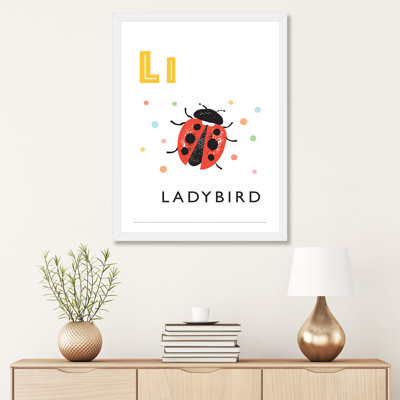 " Alphabet Flash Cards L "