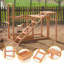 Chicken Activity Play Swing Set With Chicken Perches Hen Ladder