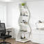 183 cm H x 50 cm W Corner Bookcase