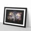 Weeping Willow Tree - Picture Frame Graphic Art Print-56864406-56864409