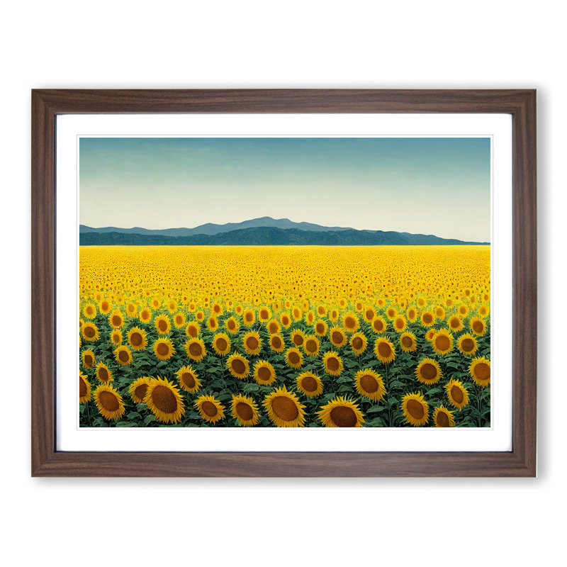 Extraordinary Sunflower Field - Single Picture Frame Print, 25cm H x 34cm W x 2cm D, Walnut Framed