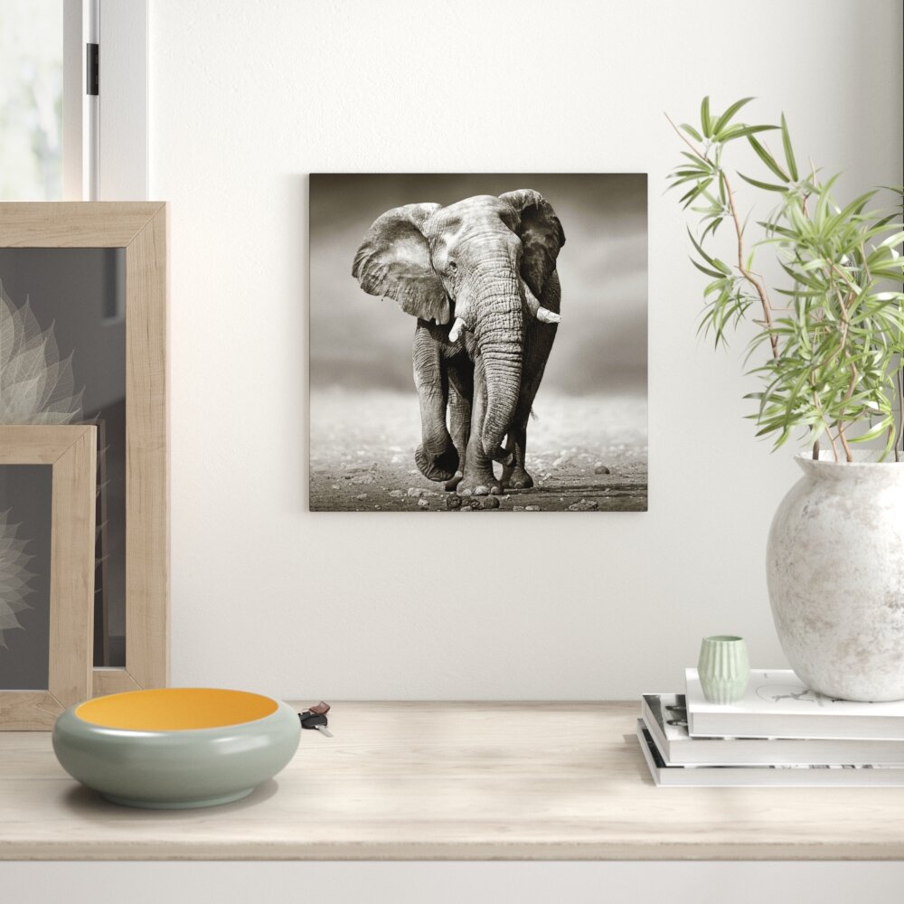 Glasbild Grey Elephant