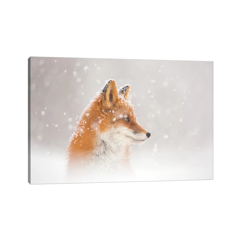 Snow Is Fallinga by Denis Budkov - Wrapped Canvas Print, 101.6 cm H x 66.04 cm W x 3.175 cm D