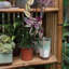 Chinese style balcony vertical bonsai storage rack