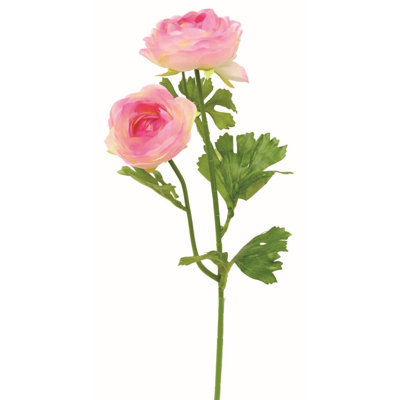 Ranunculus Arrangement