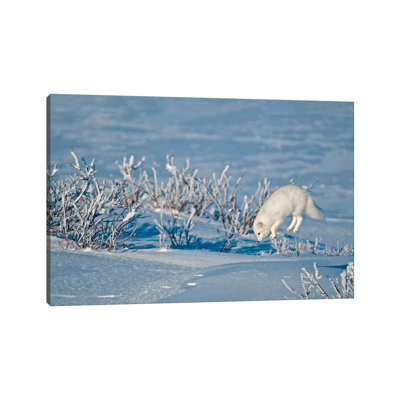 Canada, Manitoba, Churchill 1 Piece Wrapped Canvas Wall Art