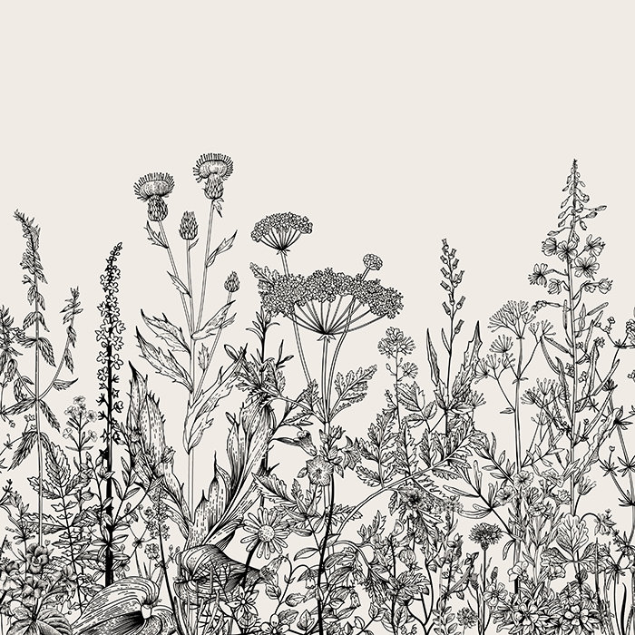 Werner Matte Mural, 250 x 250cm