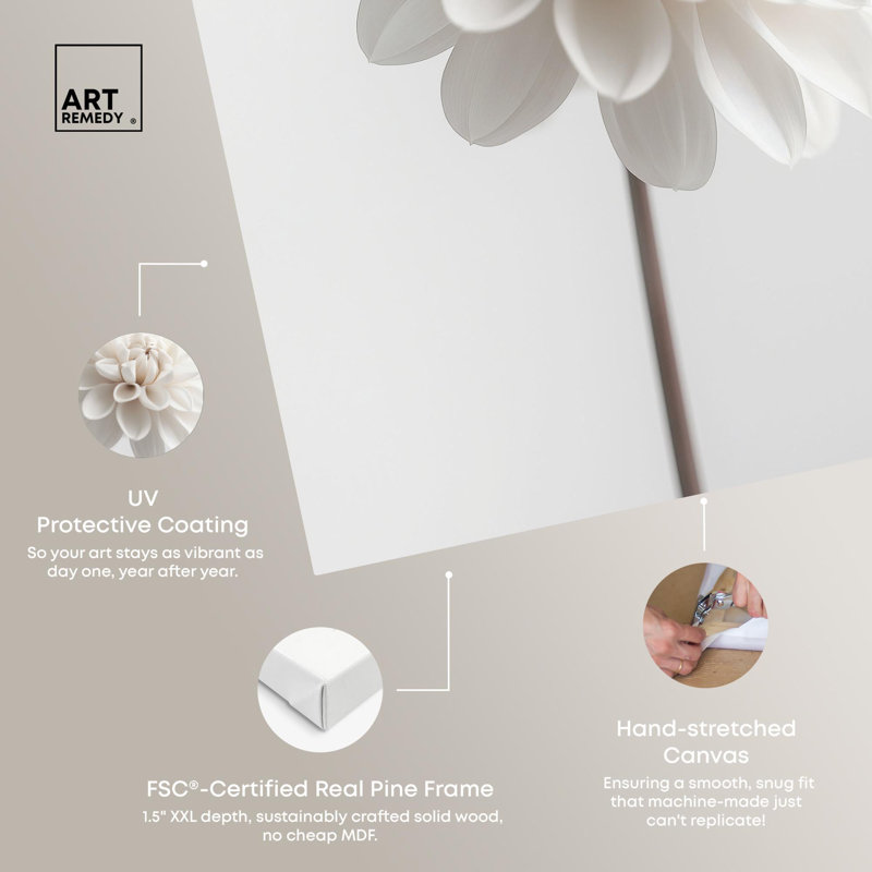 Toile Pristine Blossom II par Minimalist Florals par Art Remedy, H 20 po x l 16 po, Toile tendue avec châssis