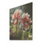 Iris Flower Meadows Grace In Forest - Iris sur bois-602305824