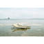 Seashell Outdoor Chaise Lounge-1514591975-1521031641