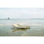 Seashell Outdoor Chaise Lounge-1521031641-1514591975