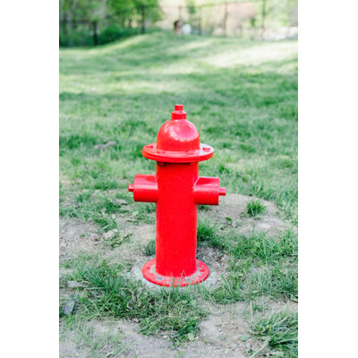 Bark Park Misting Fire Hydrant