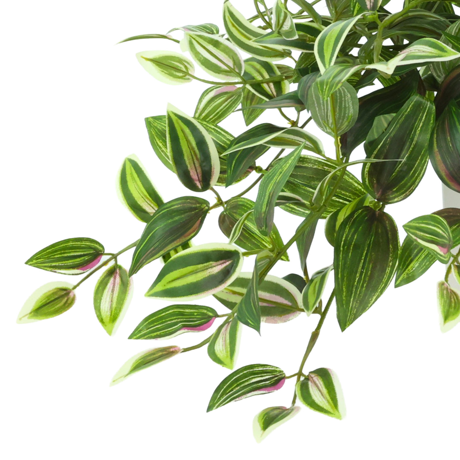 Karas Tradescantia Plant in Vase, Green, 14"H x 26"W x 17"D