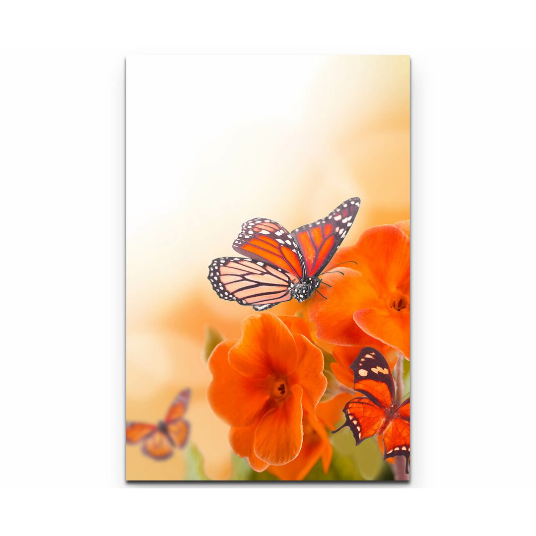 Leinwandbild Orangene Blumen mit Schmetterlingen