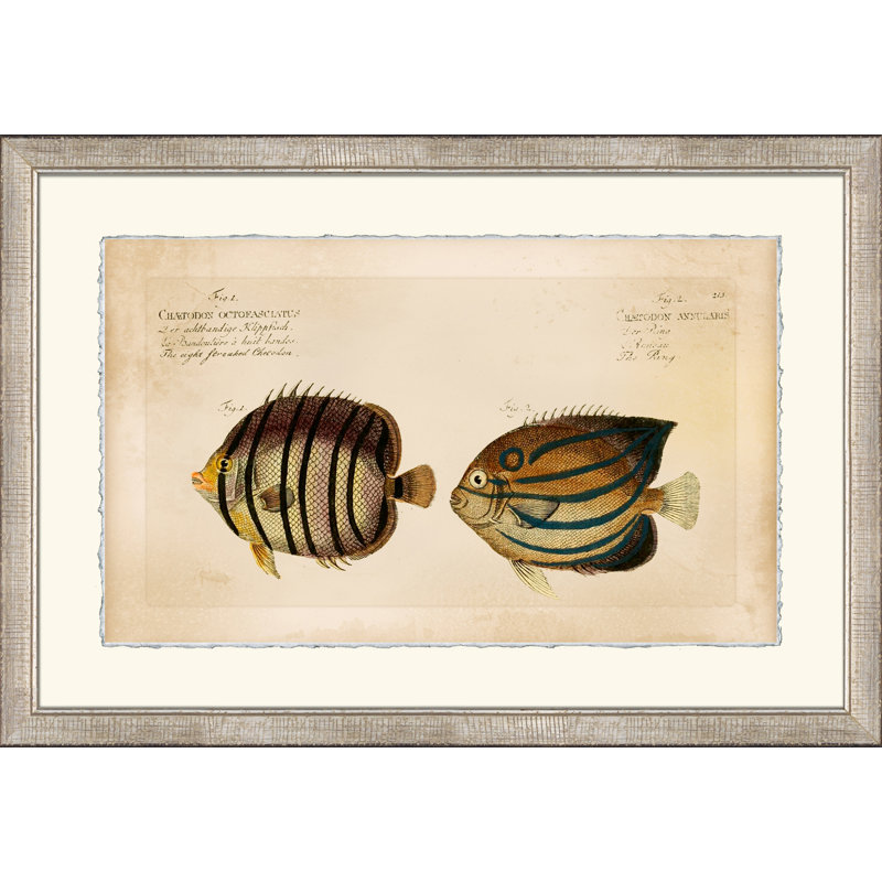 Horizontal Chatodon 3 Painting