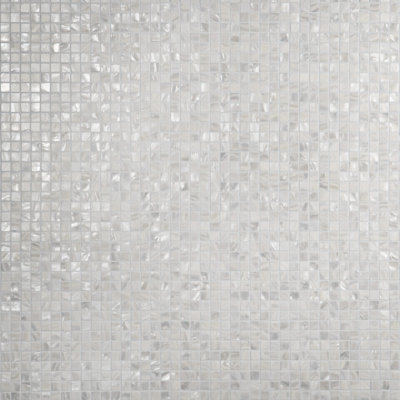 Conchella 0.75" x 0.75" Seashell Mosaic Tile