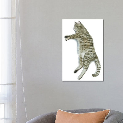 Sleeping Tabby Cat II by Alexey Dmitrievich Shmyrov - Wrapped Canvas Print